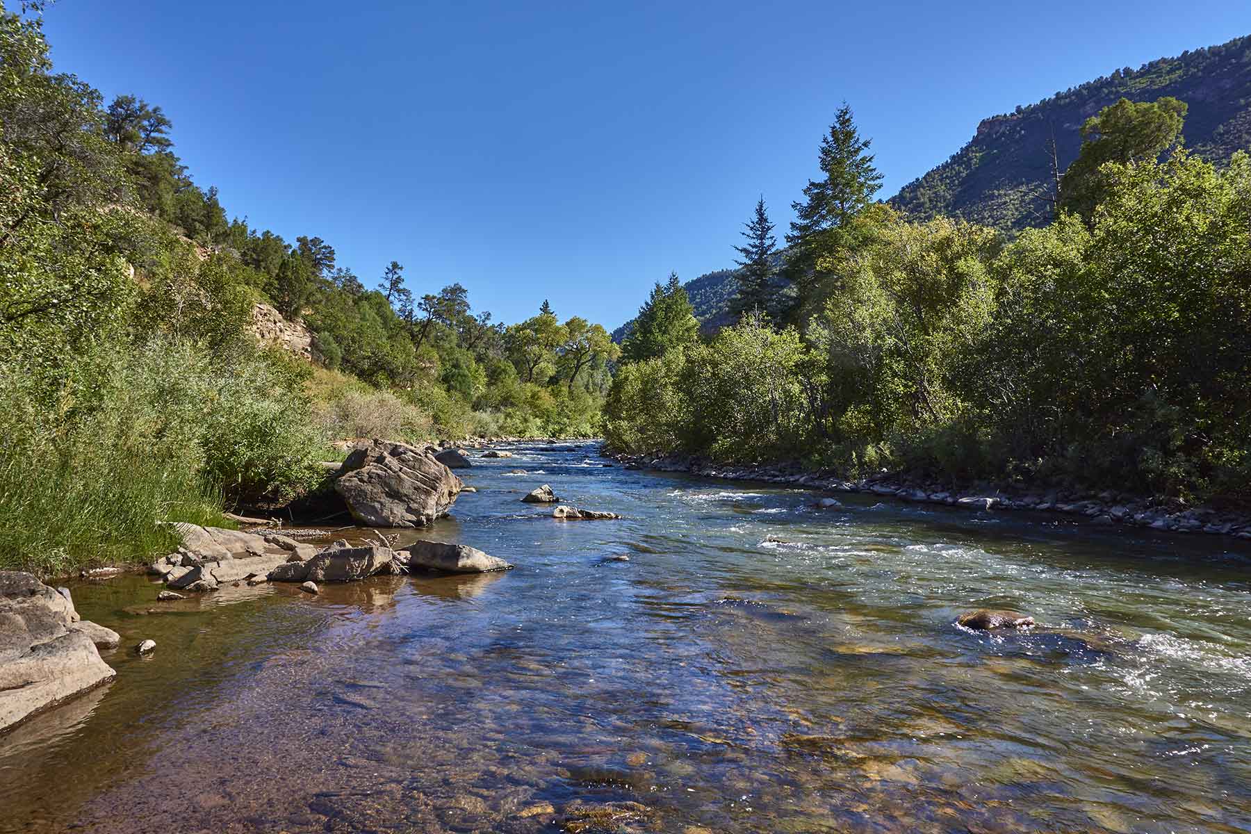 Cascabel property picture 3 of 61