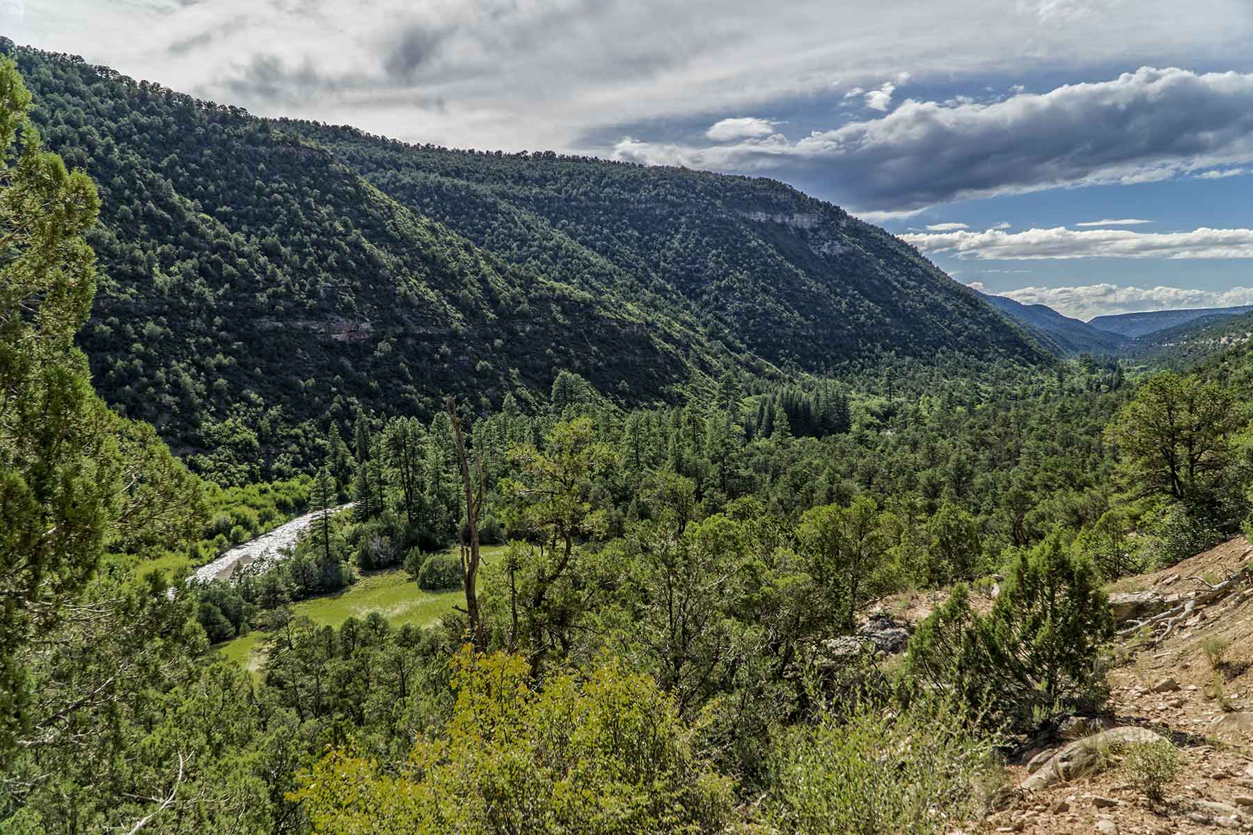 Cascabel property picture 27 of 61