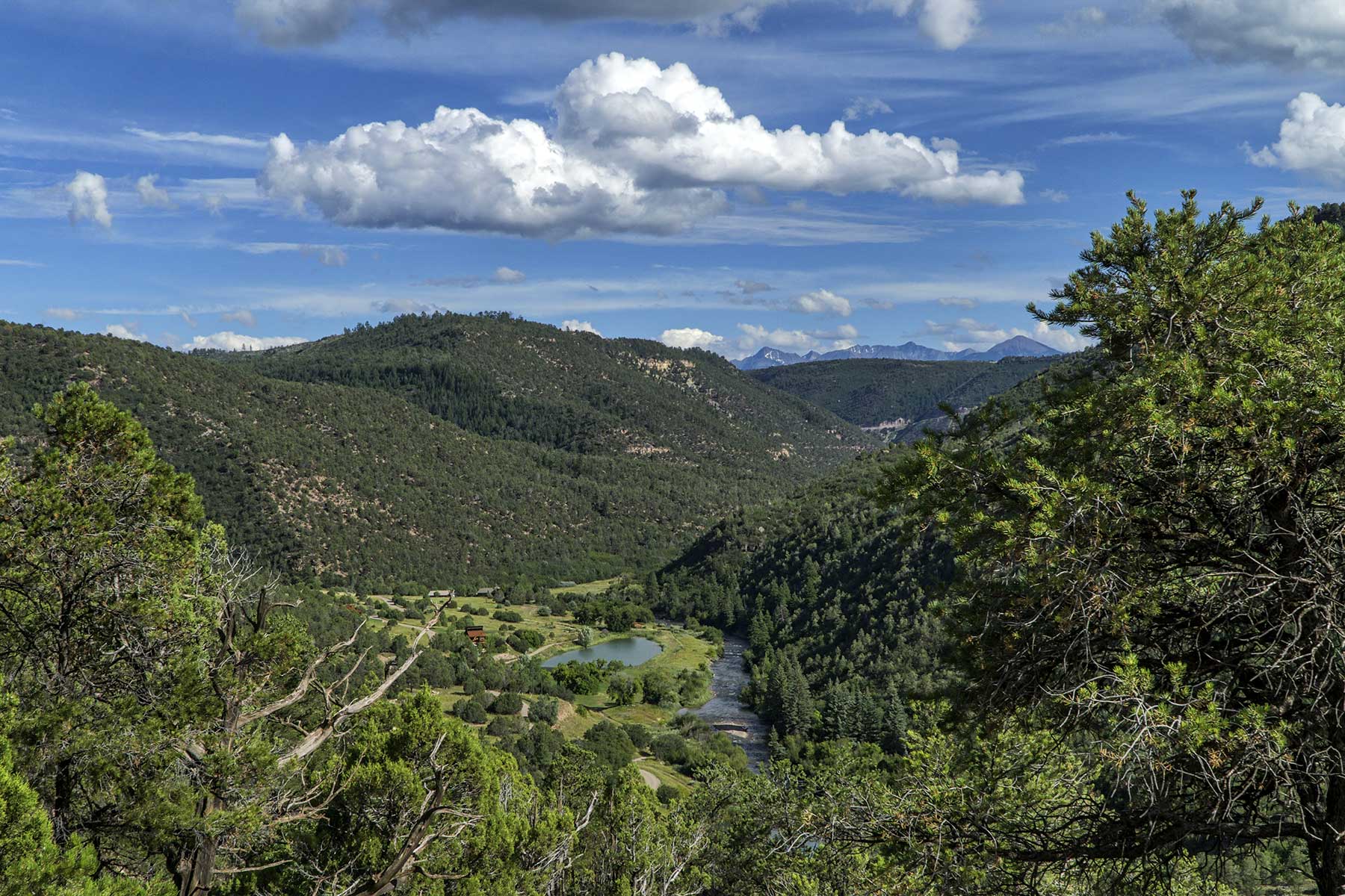 Cascabel property picture 5 of 61