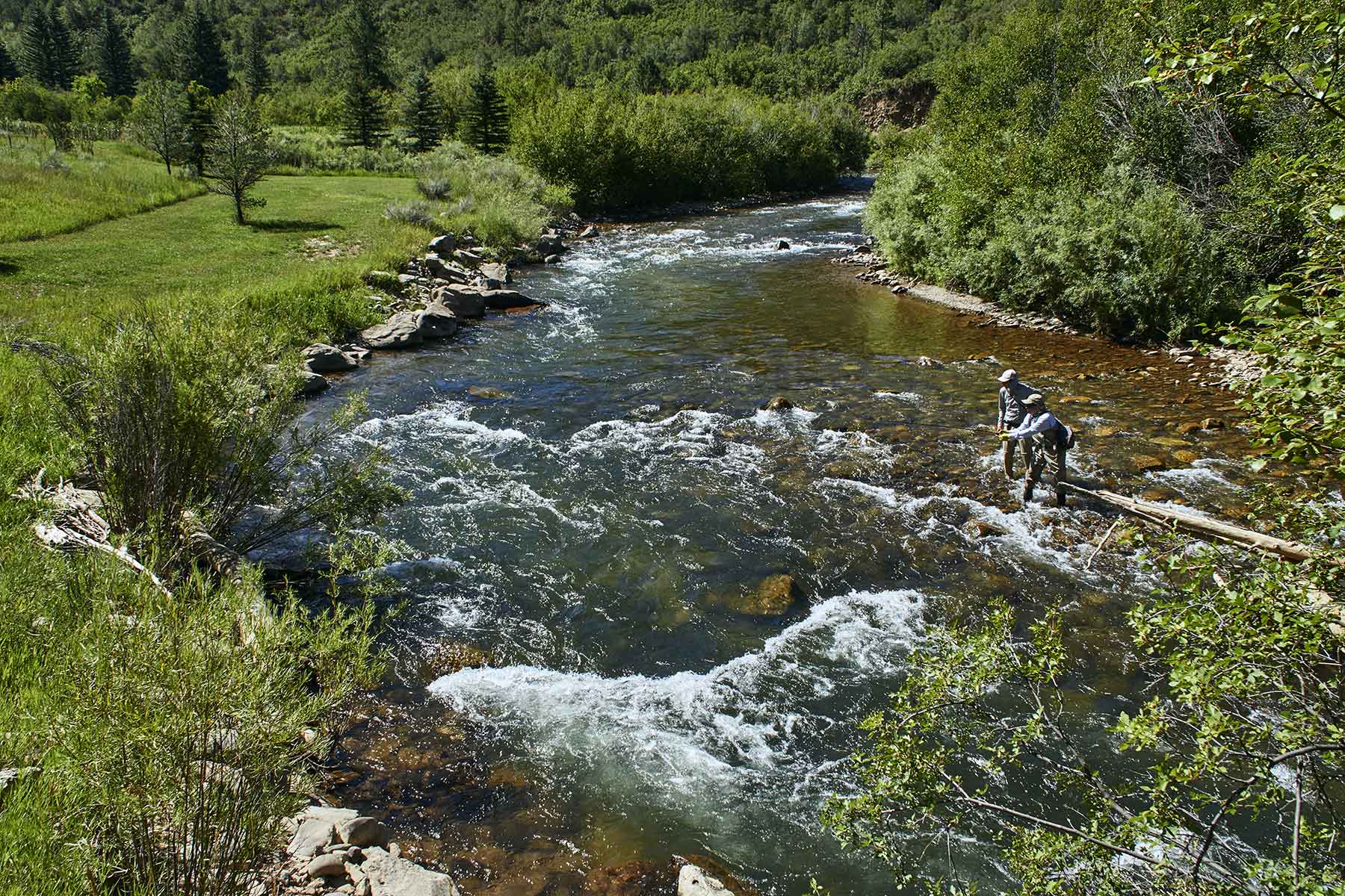 Cascabel property picture 15 of 61
