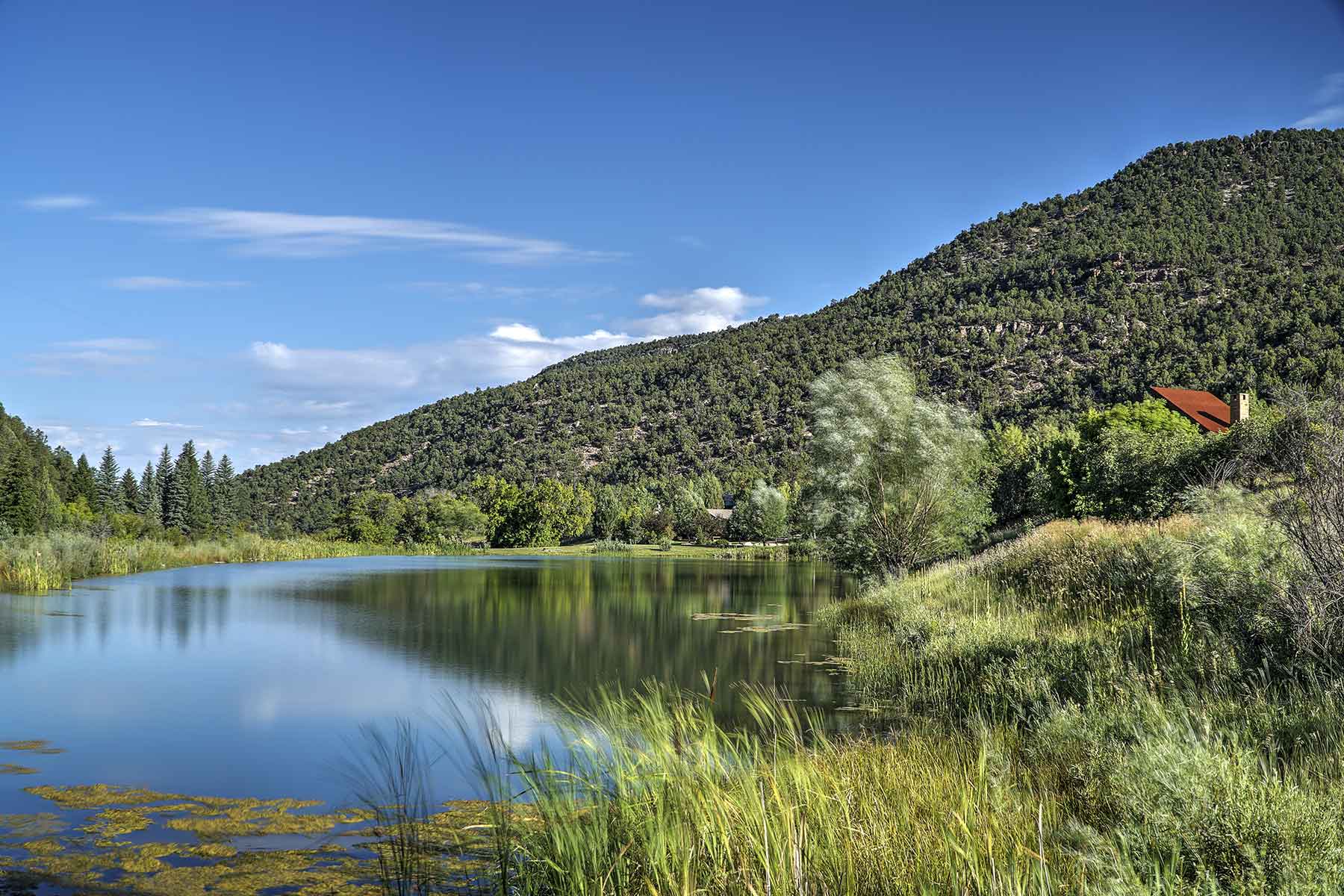 Cascabel property picture 9 of 61