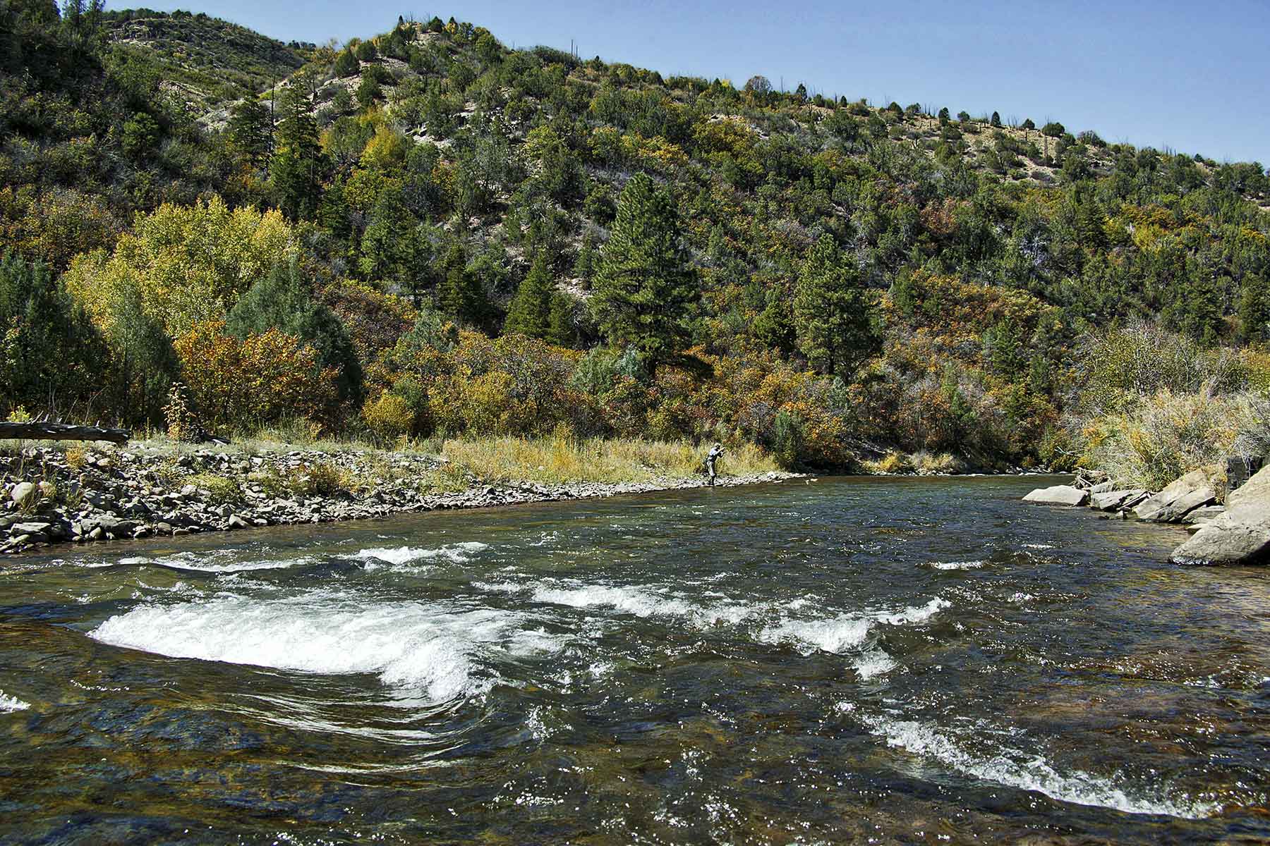 Cascabel property picture 38 of 61