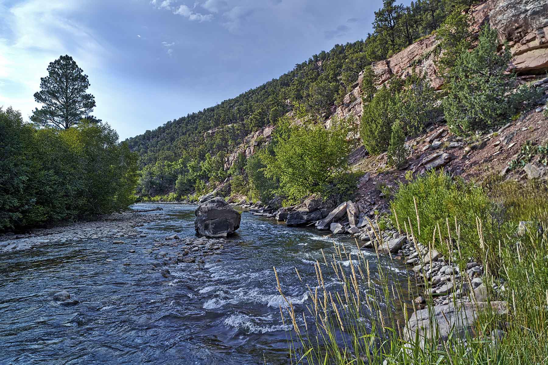 Cascabel property picture 40 of 61