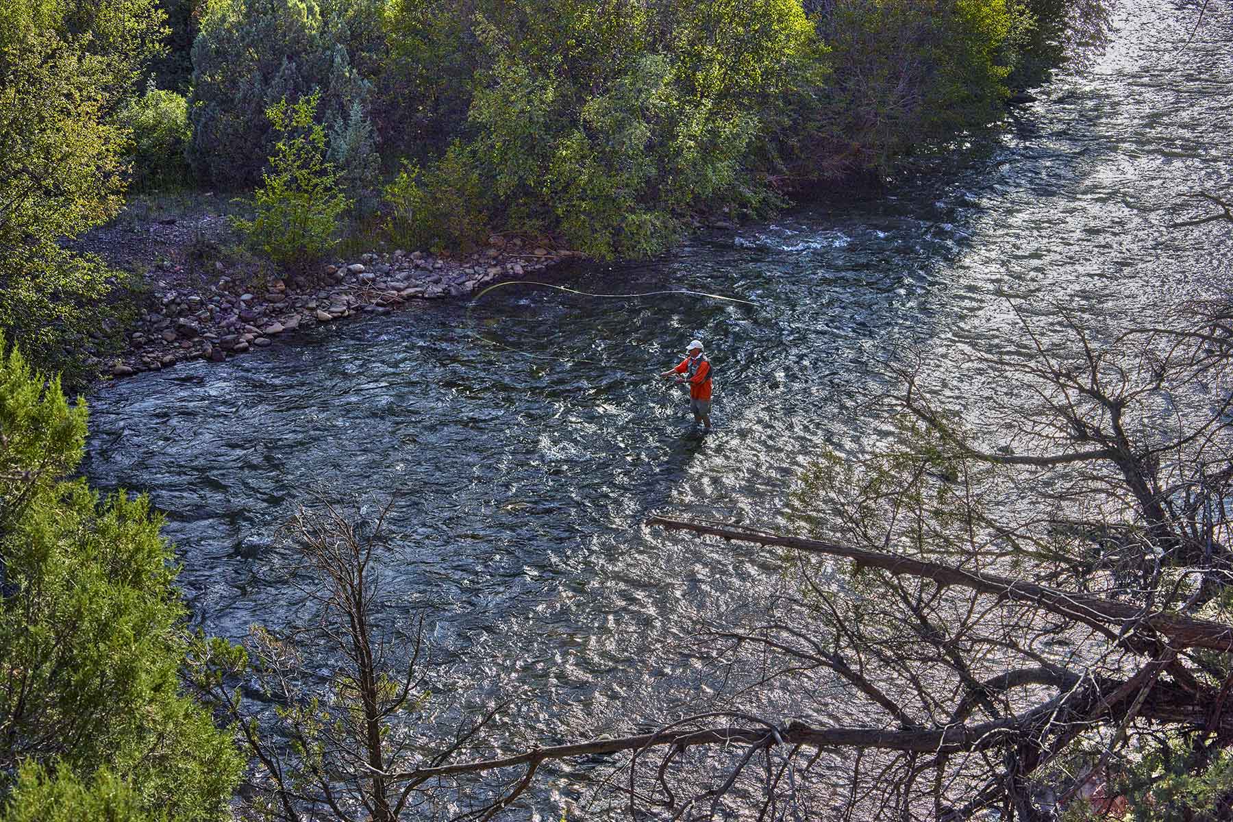 Cascabel property picture 41 of 61