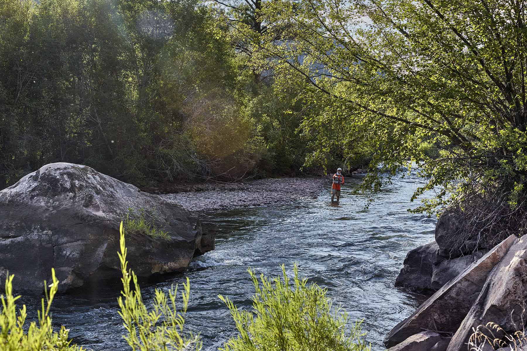 Cascabel property picture 8 of 61