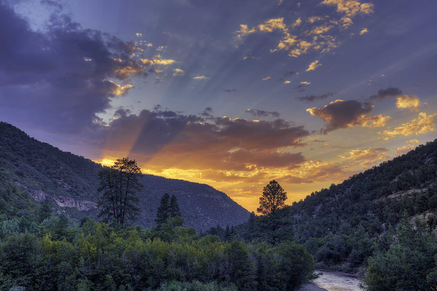 Cascabel property picture 11 of 61