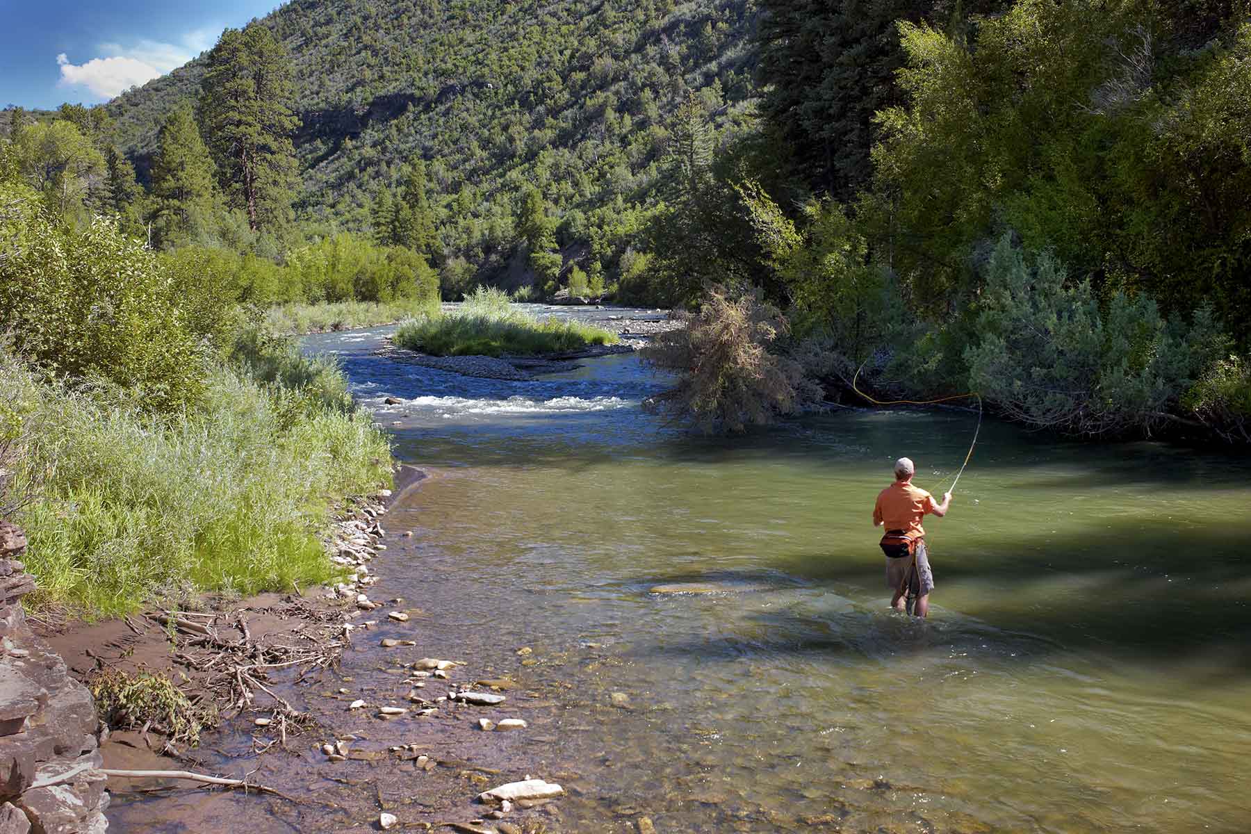 Cascabel property picture 13 of 61