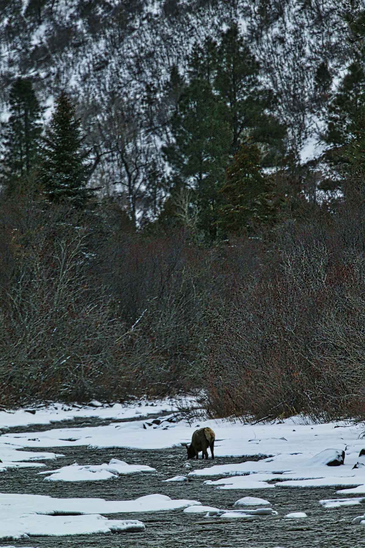 Cascabel property picture 47 of 61