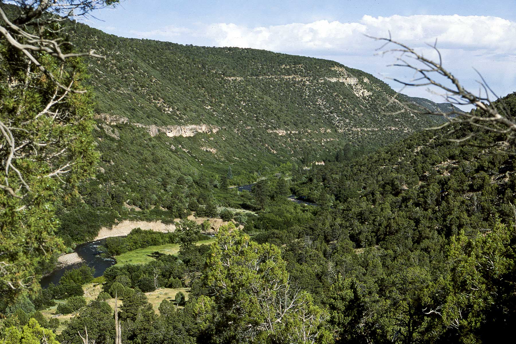 Cascabel property picture 51 of 61