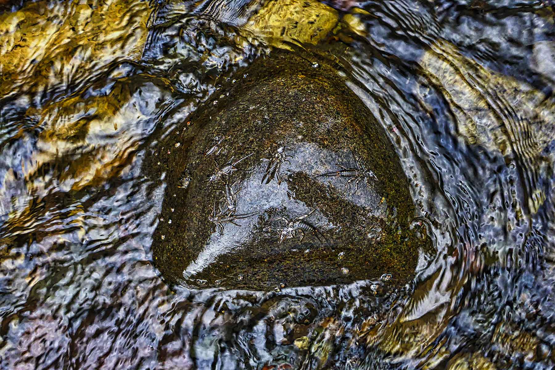 Cascabel property picture 52 of 61