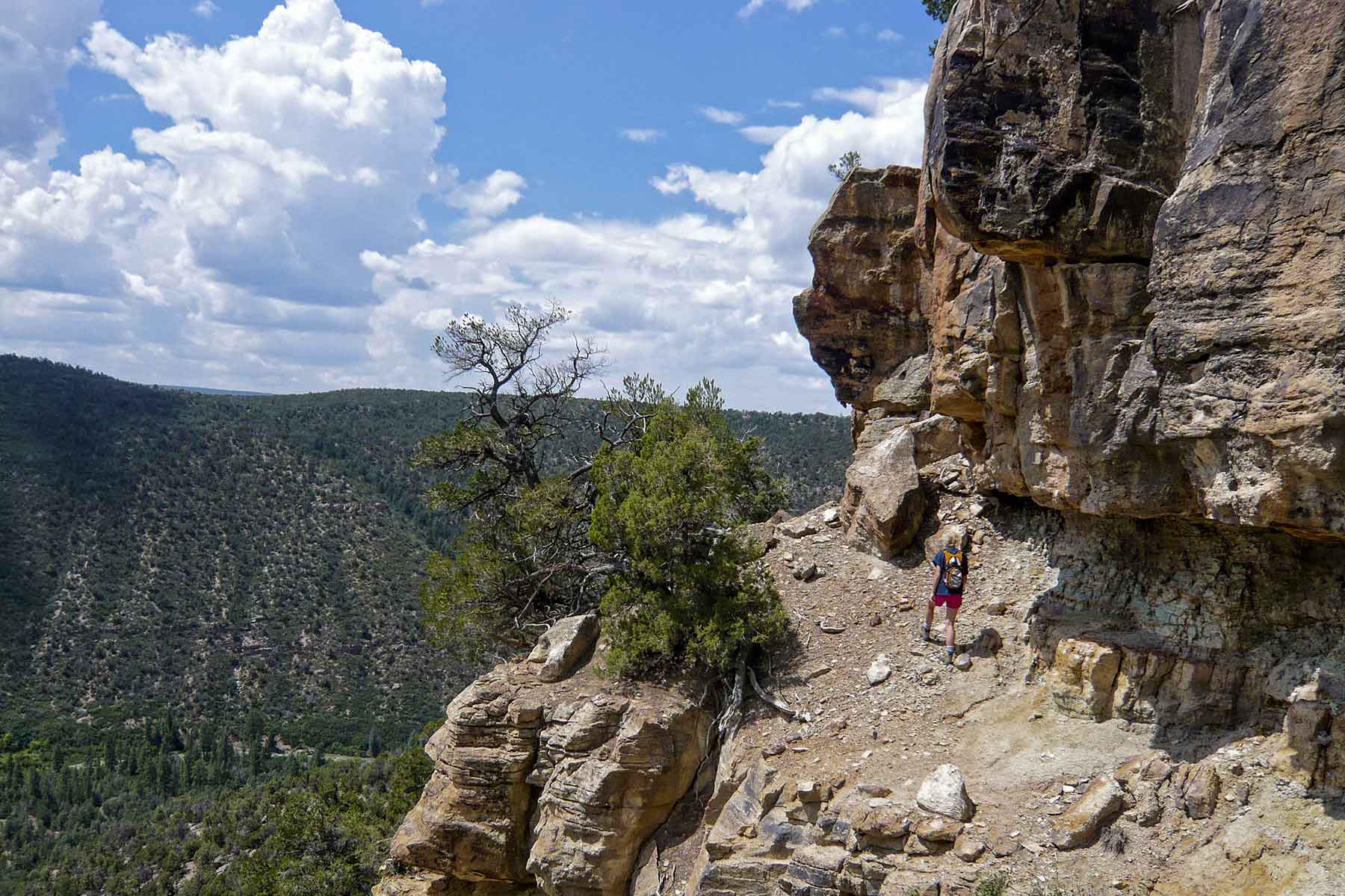 Cascabel property picture 54 of 61