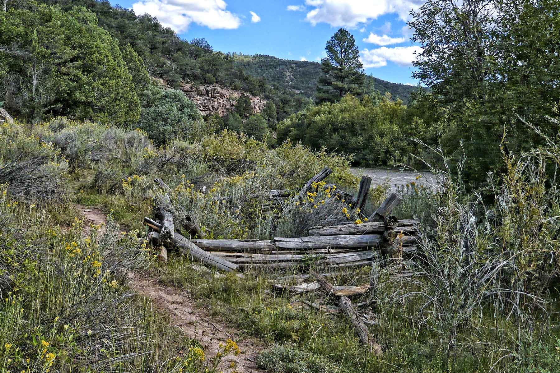 Cascabel property picture 55 of 61