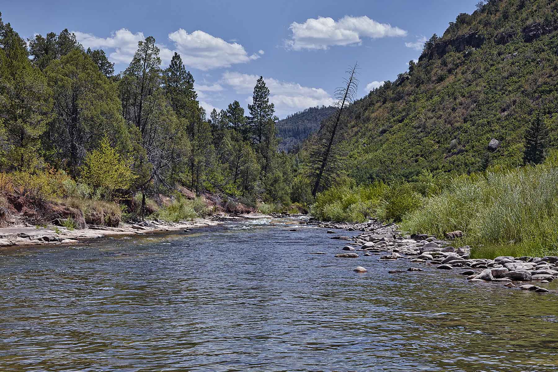 Cascabel property picture 58 of 61