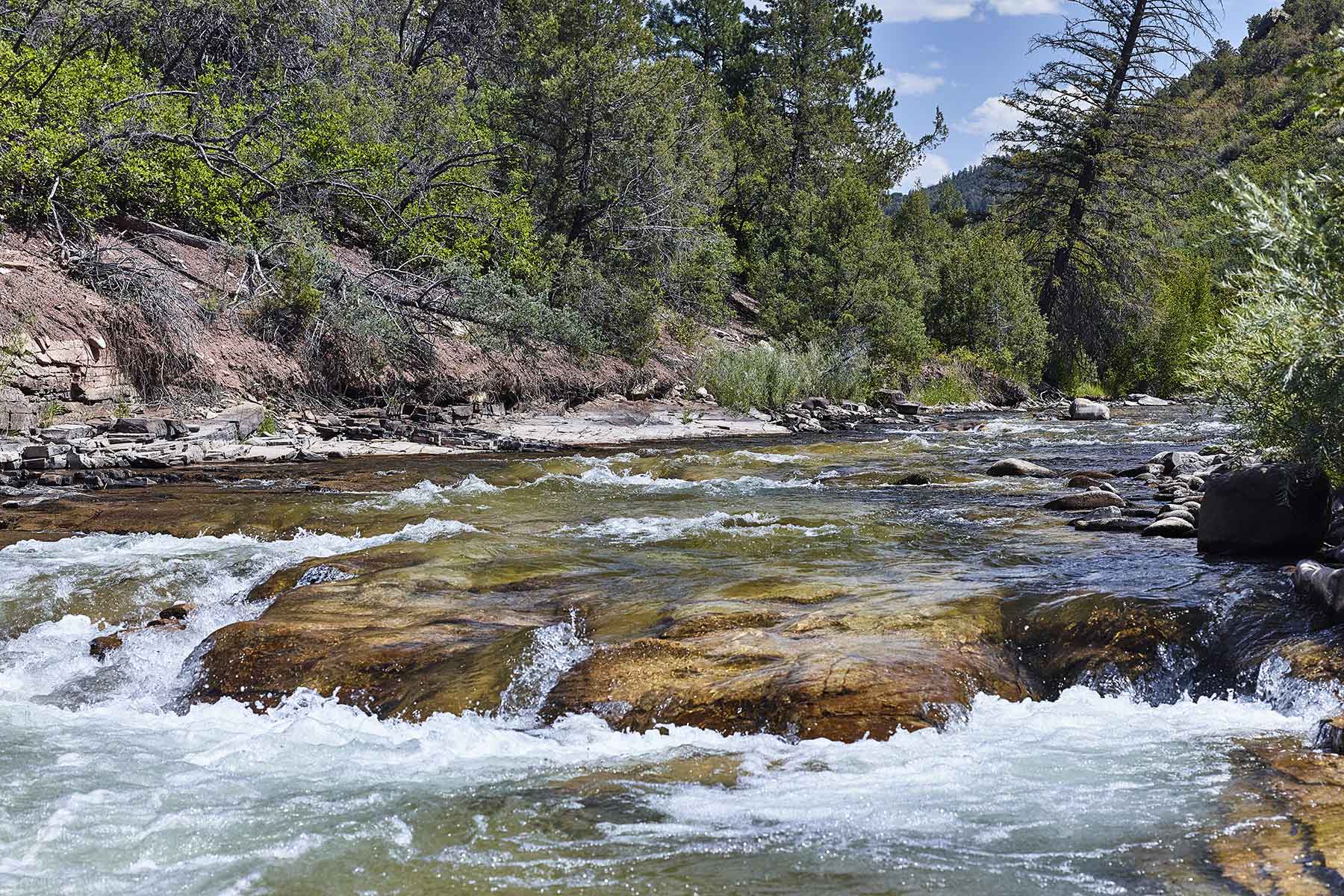 Cascabel property picture 59 of 61