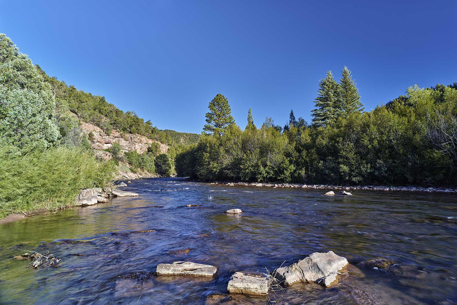 Cascabel property picture 60 of 61
