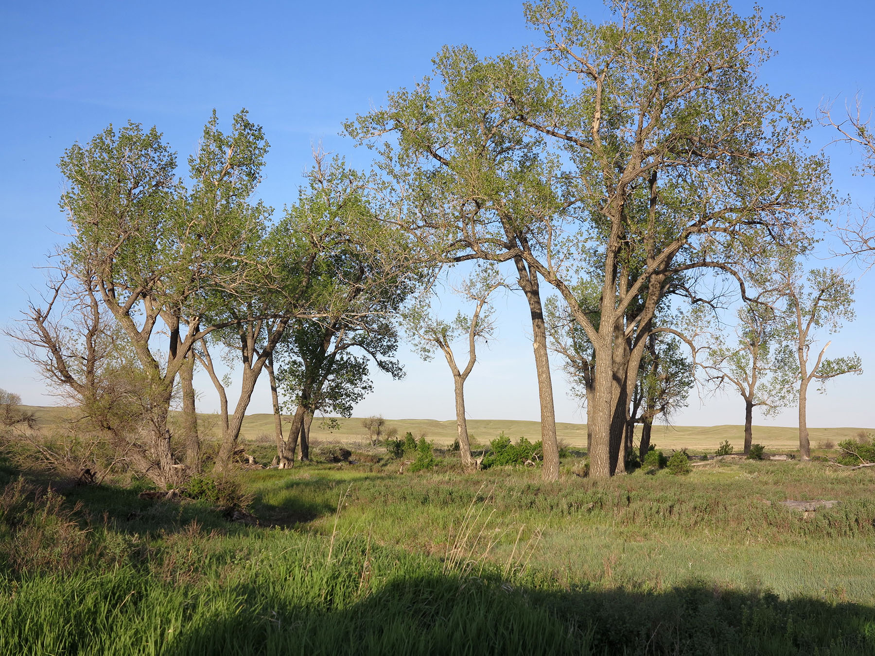Prairie Creek Ranch property picture 1 of 1