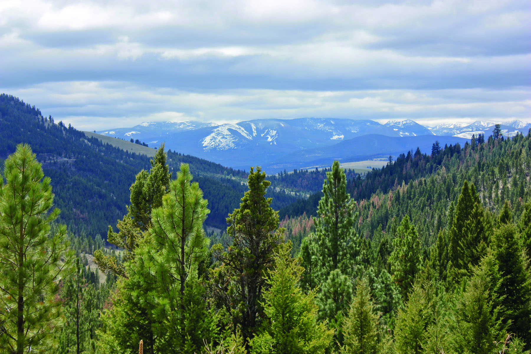 Hoover Creek Ranch #2 of 2 property picture 2 of 2