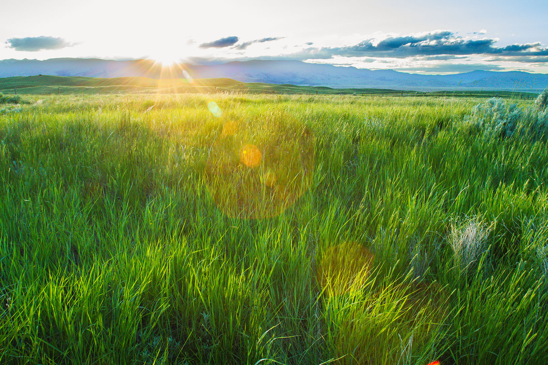 Sitka Ranch property picture 3 of 100