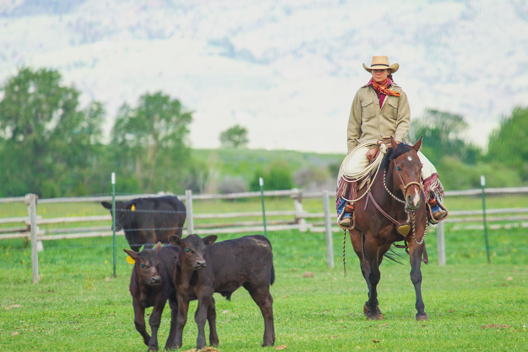 Sitka Ranch property picture 85 of 100