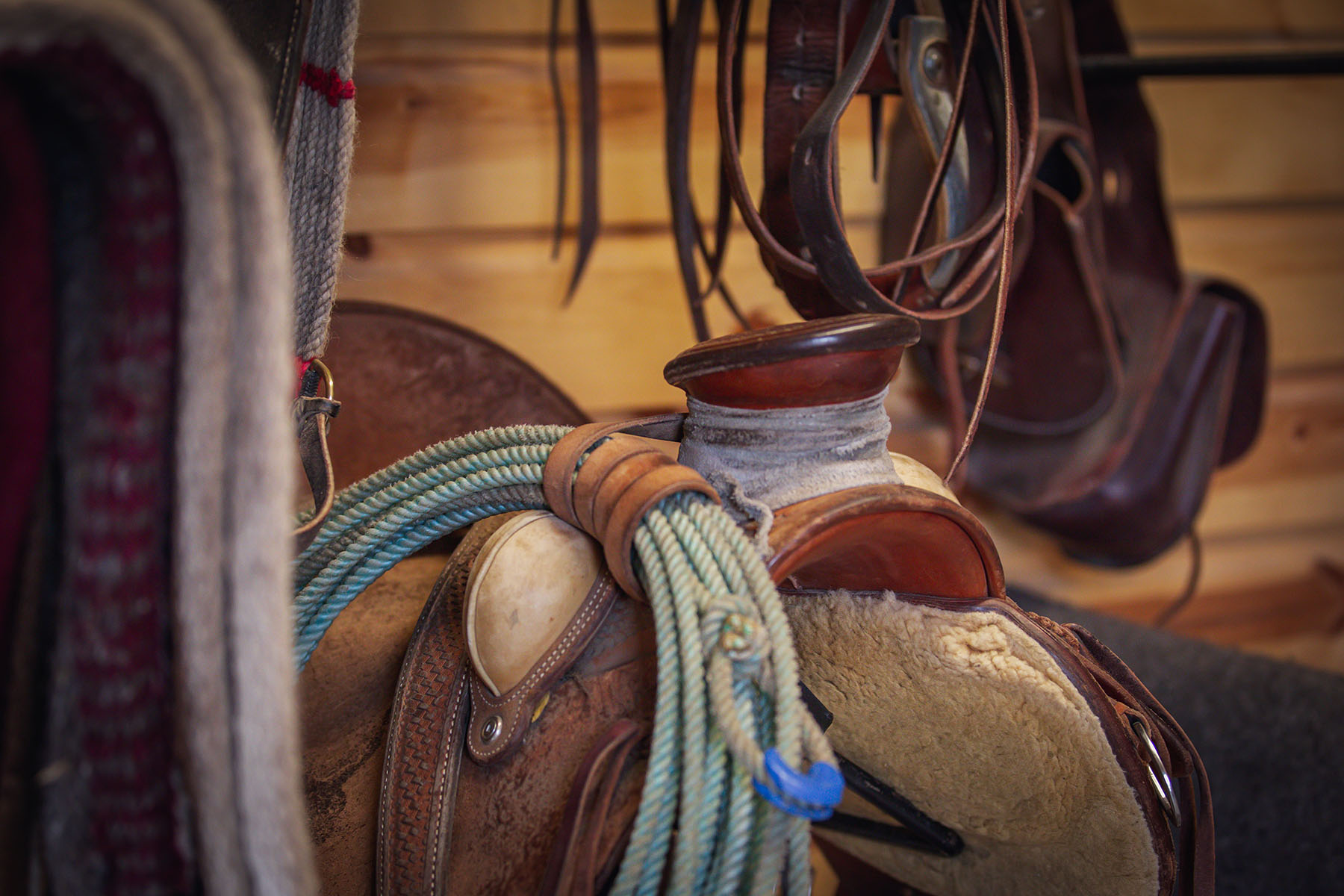 Sitka Ranch property picture 74 of 100