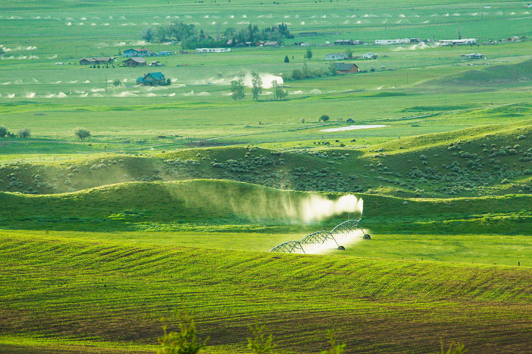 Sitka Ranch property picture 67 of 100