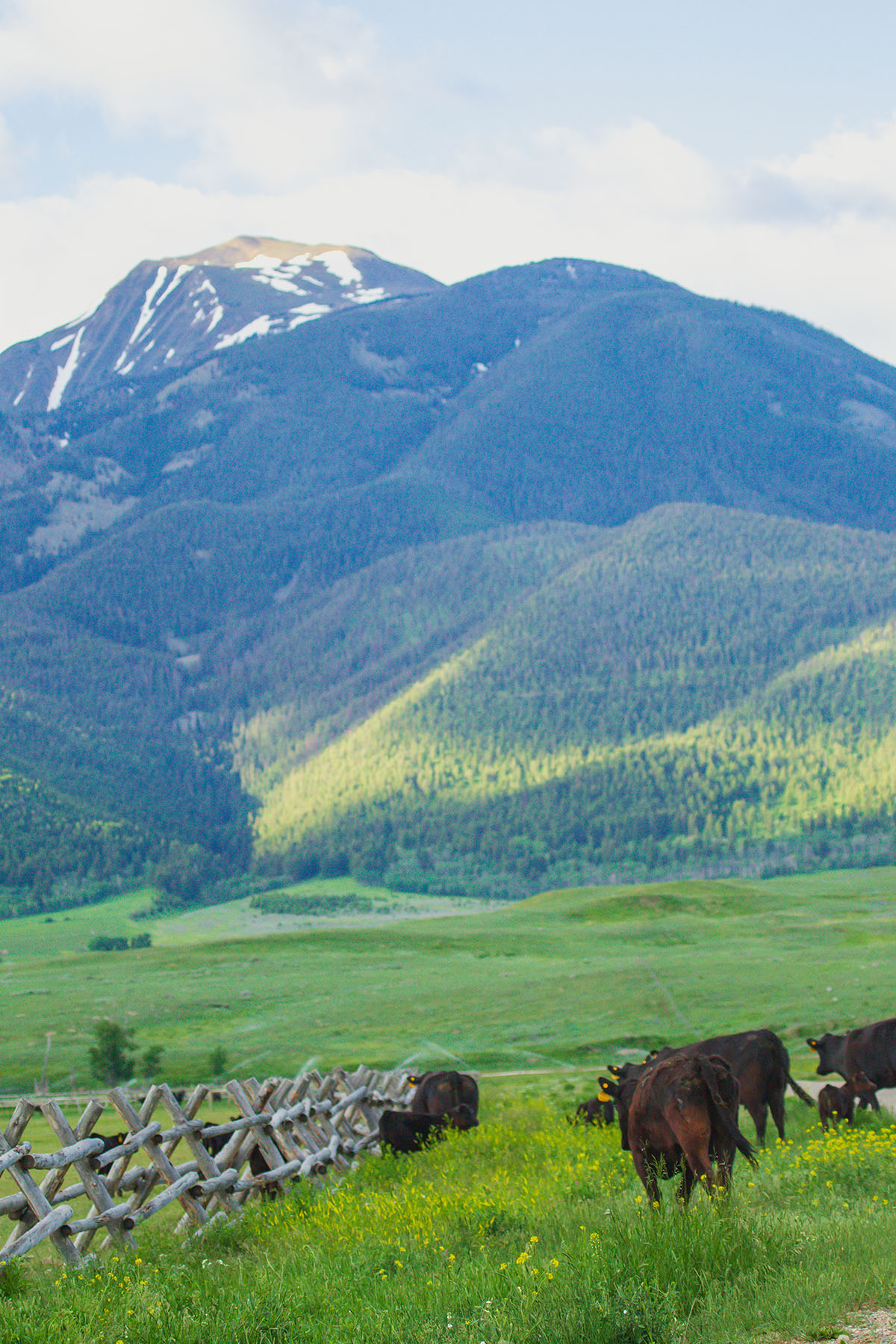 Sitka Ranch property picture 13 of 100