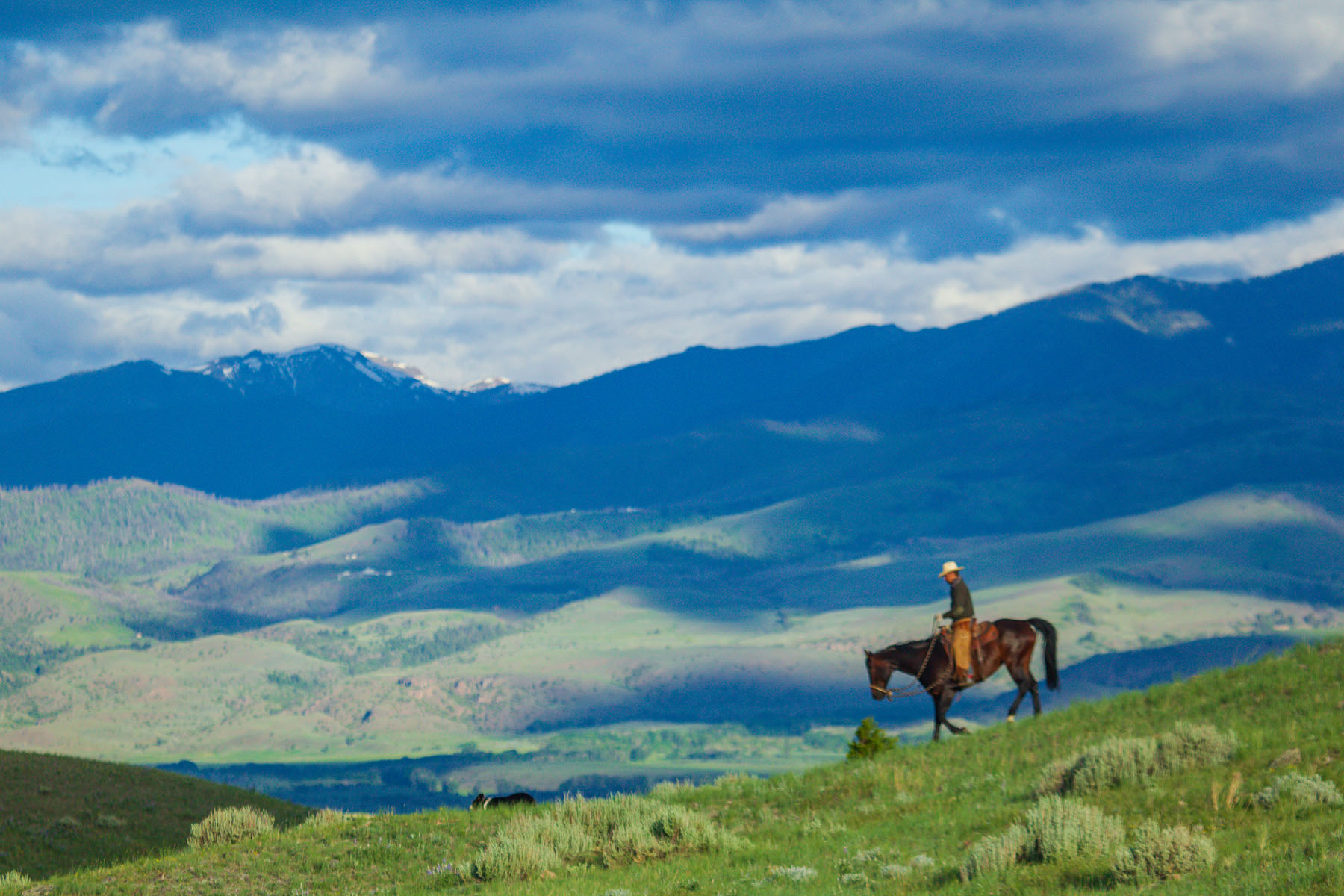 Sitka Ranch property picture 5 of 100