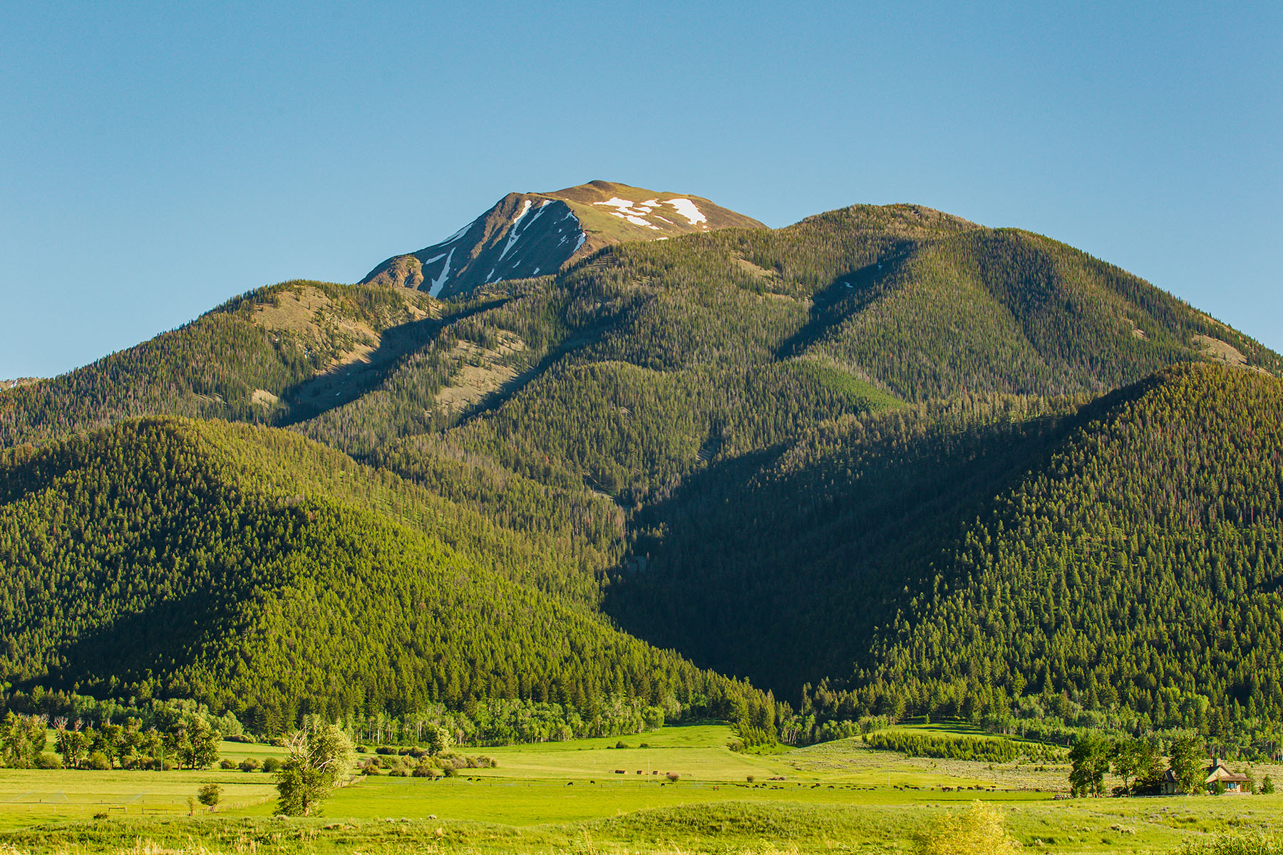Sitka Ranch property picture 94 of 100