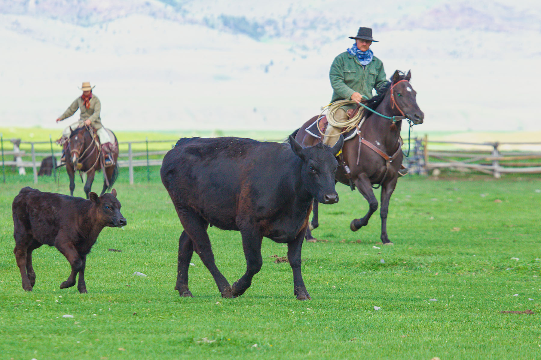 Sitka Ranch property picture 18 of 100