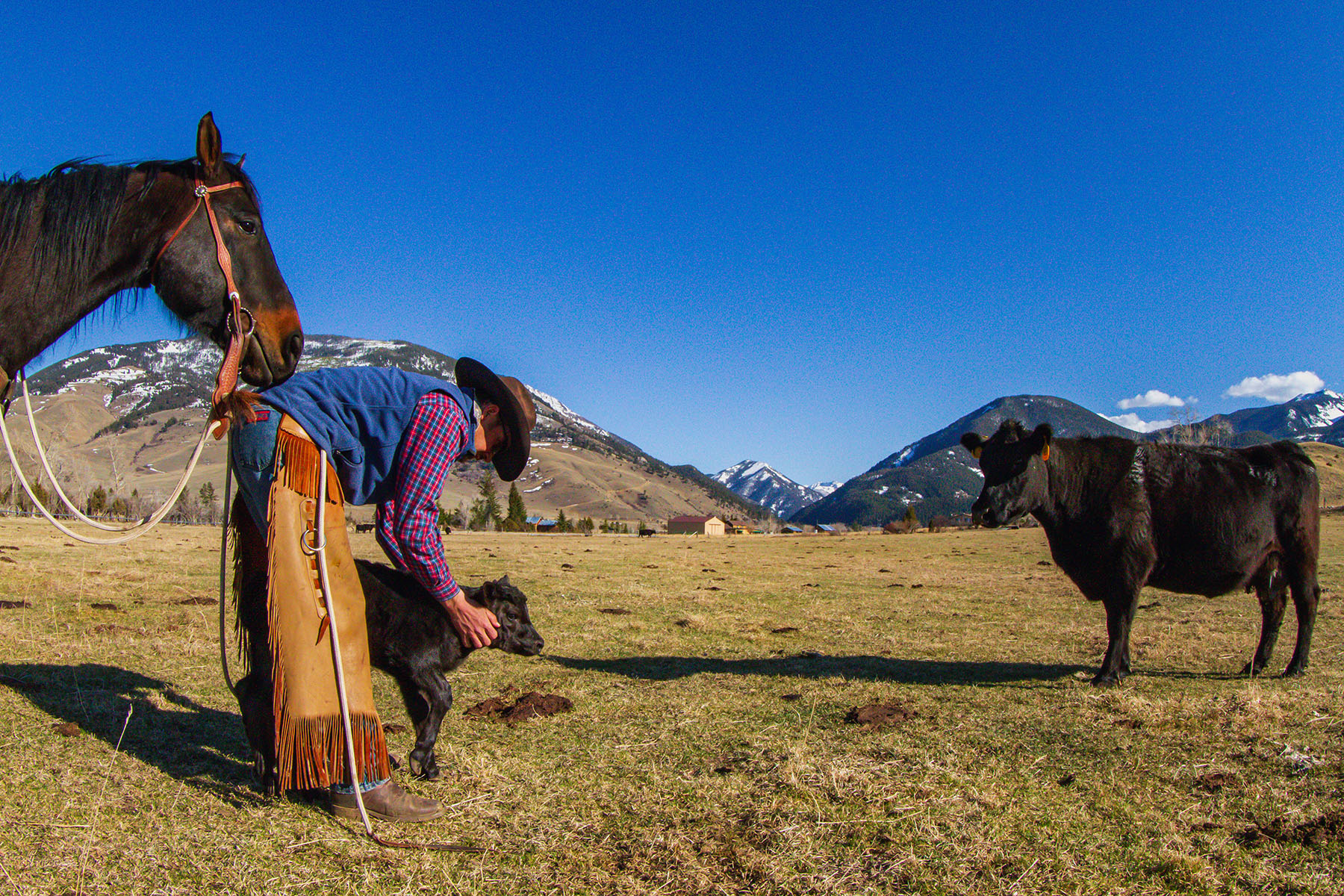 Sitka Ranch property picture 82 of 100