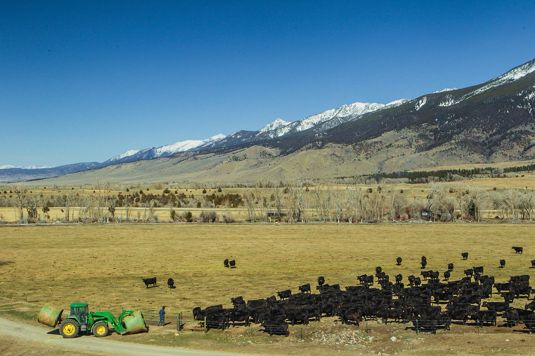 Sitka Ranch property picture 76 of 100