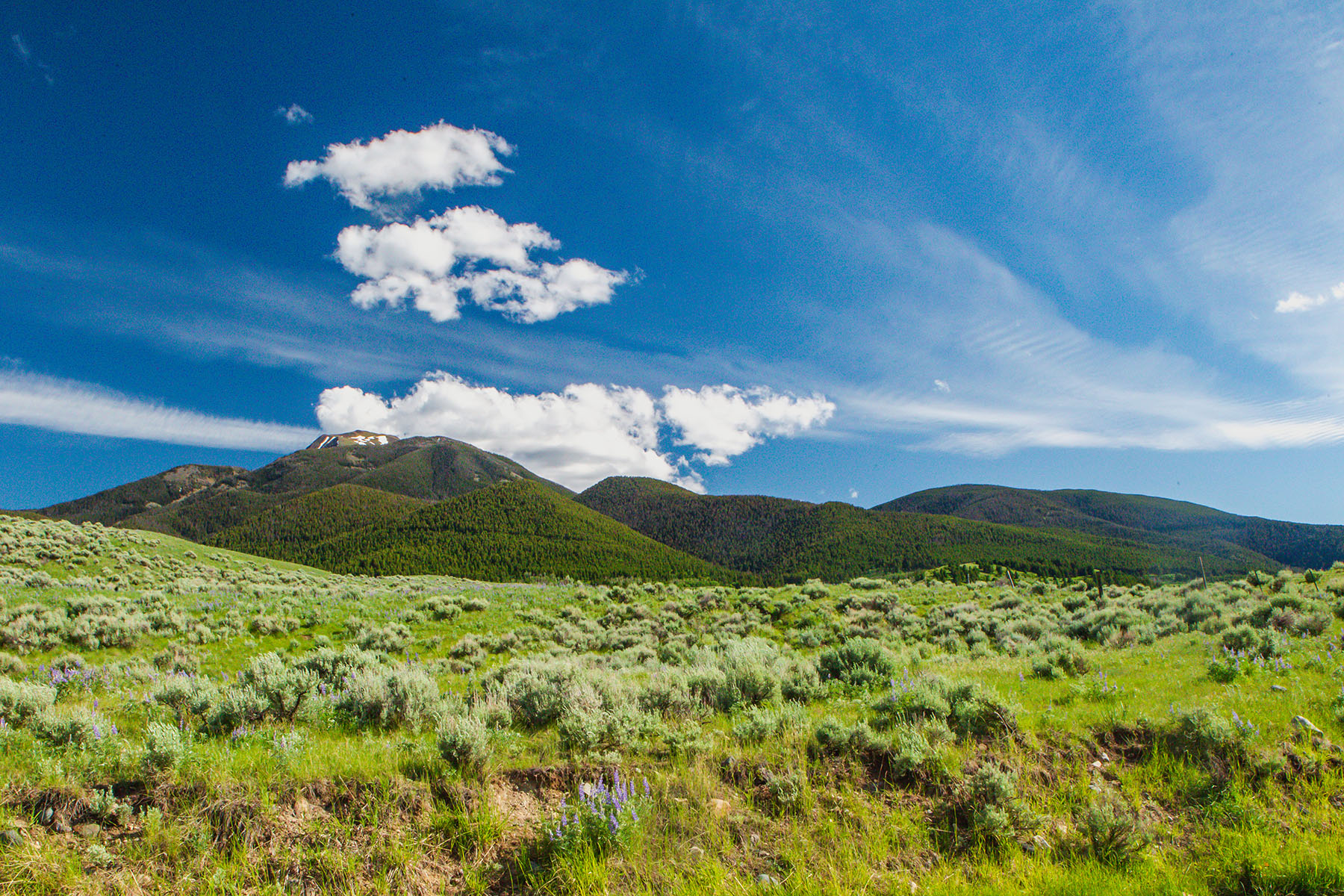 Sitka Ranch property picture 87 of 100