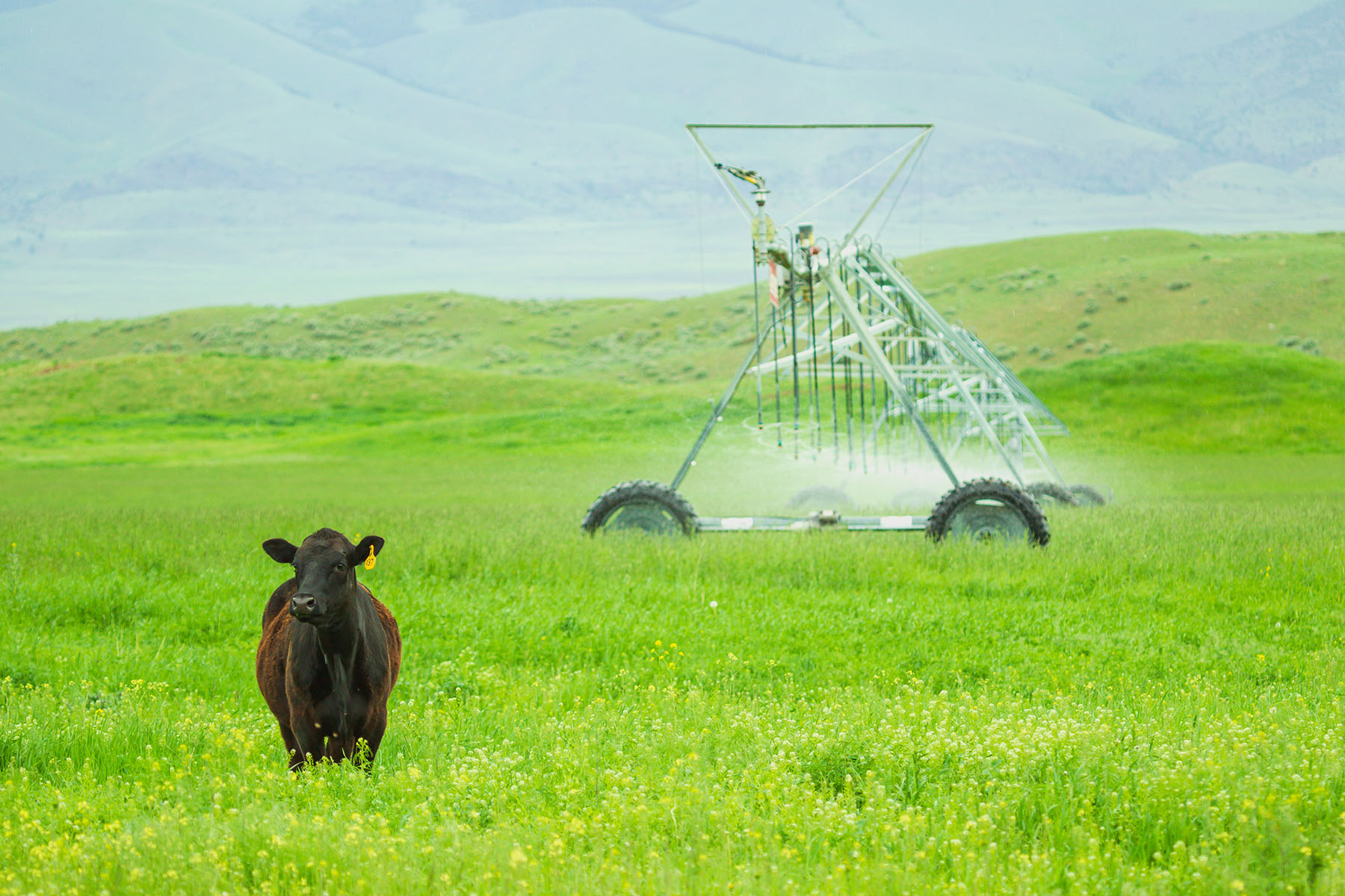 Sitka Ranch property picture 68 of 100