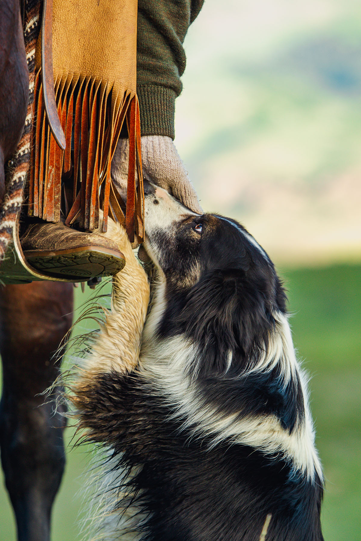 Sitka Ranch property picture 65 of 100