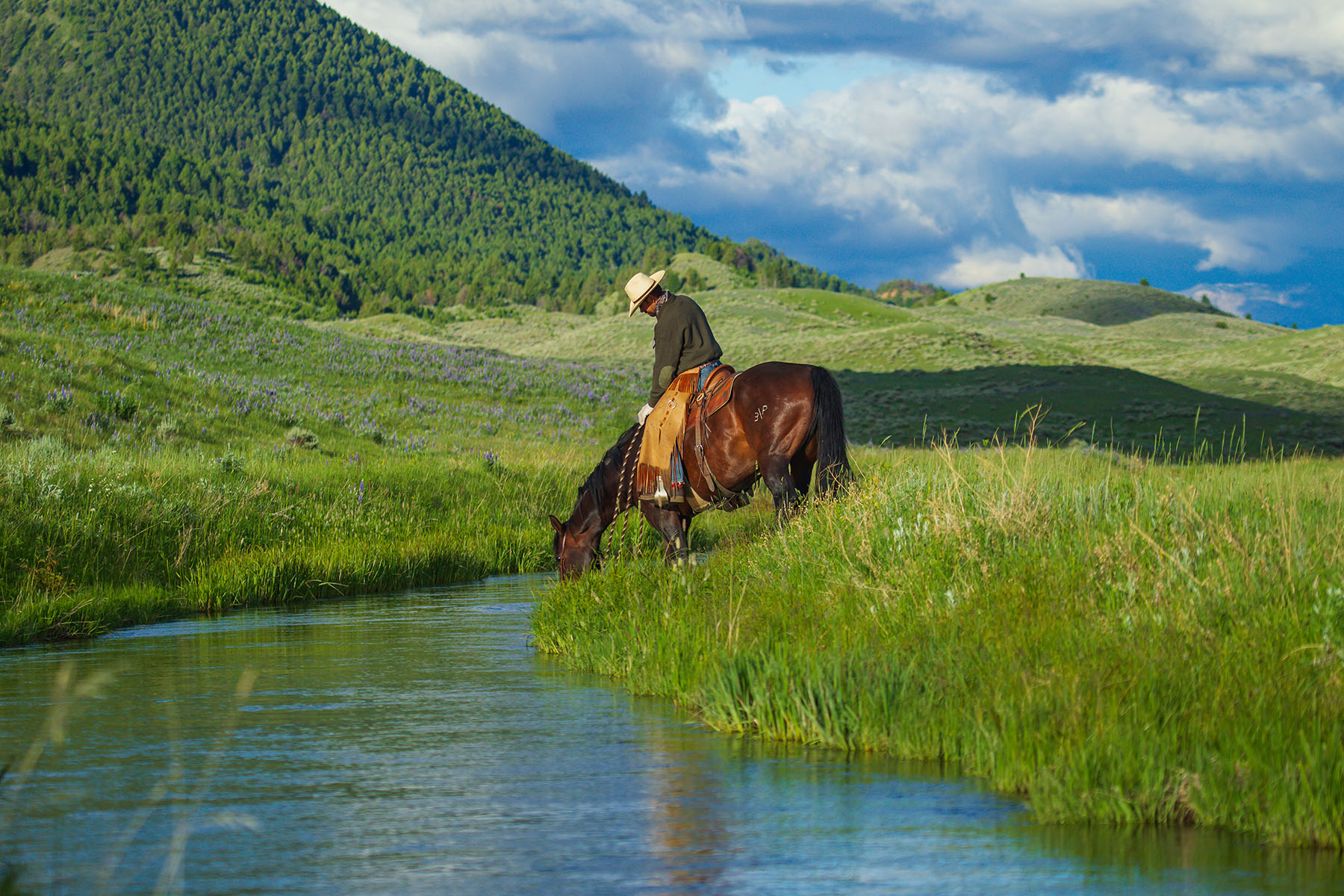 Sitka Ranch property picture 17 of 100