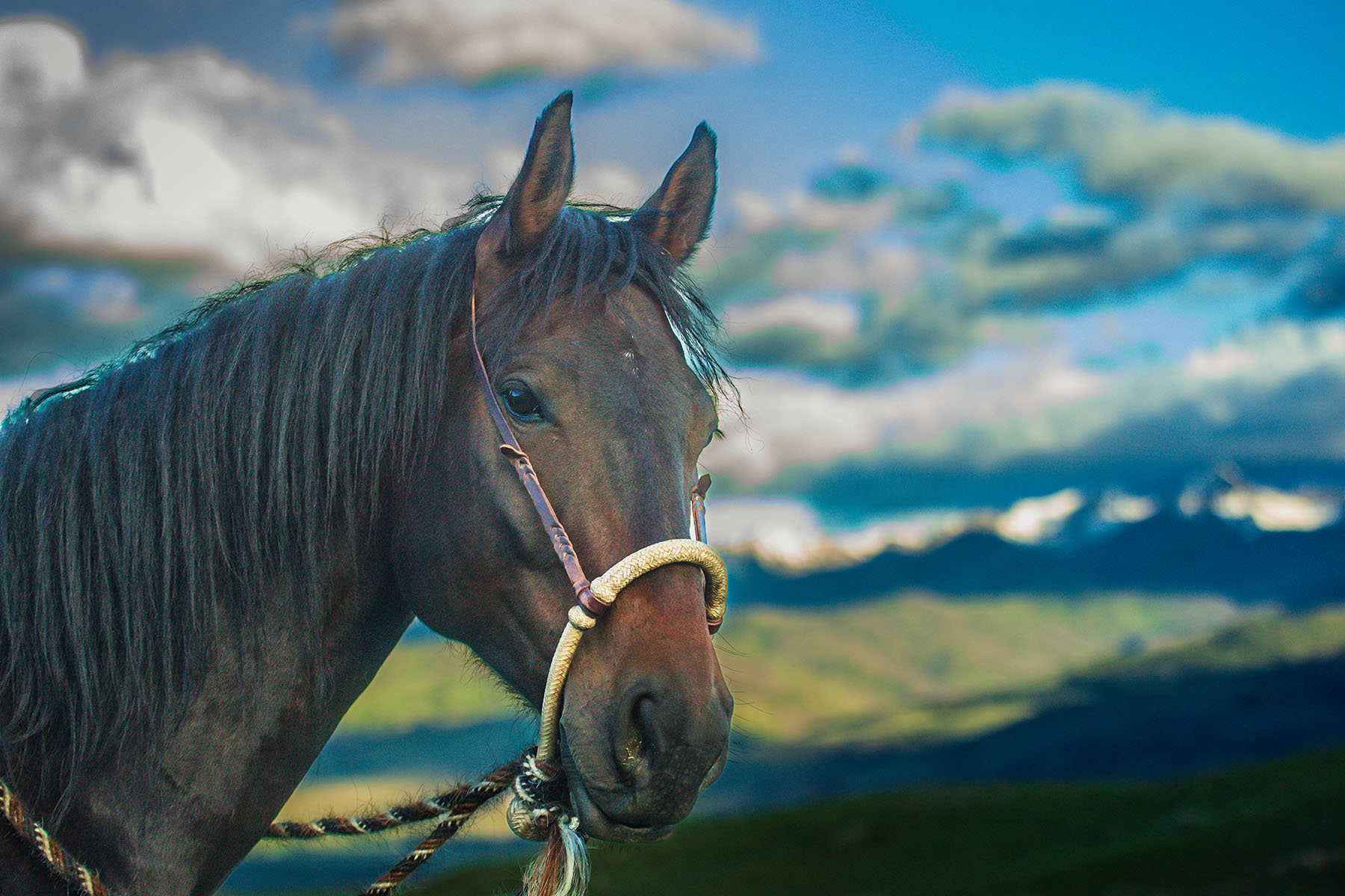 Sitka Ranch property picture 63 of 100