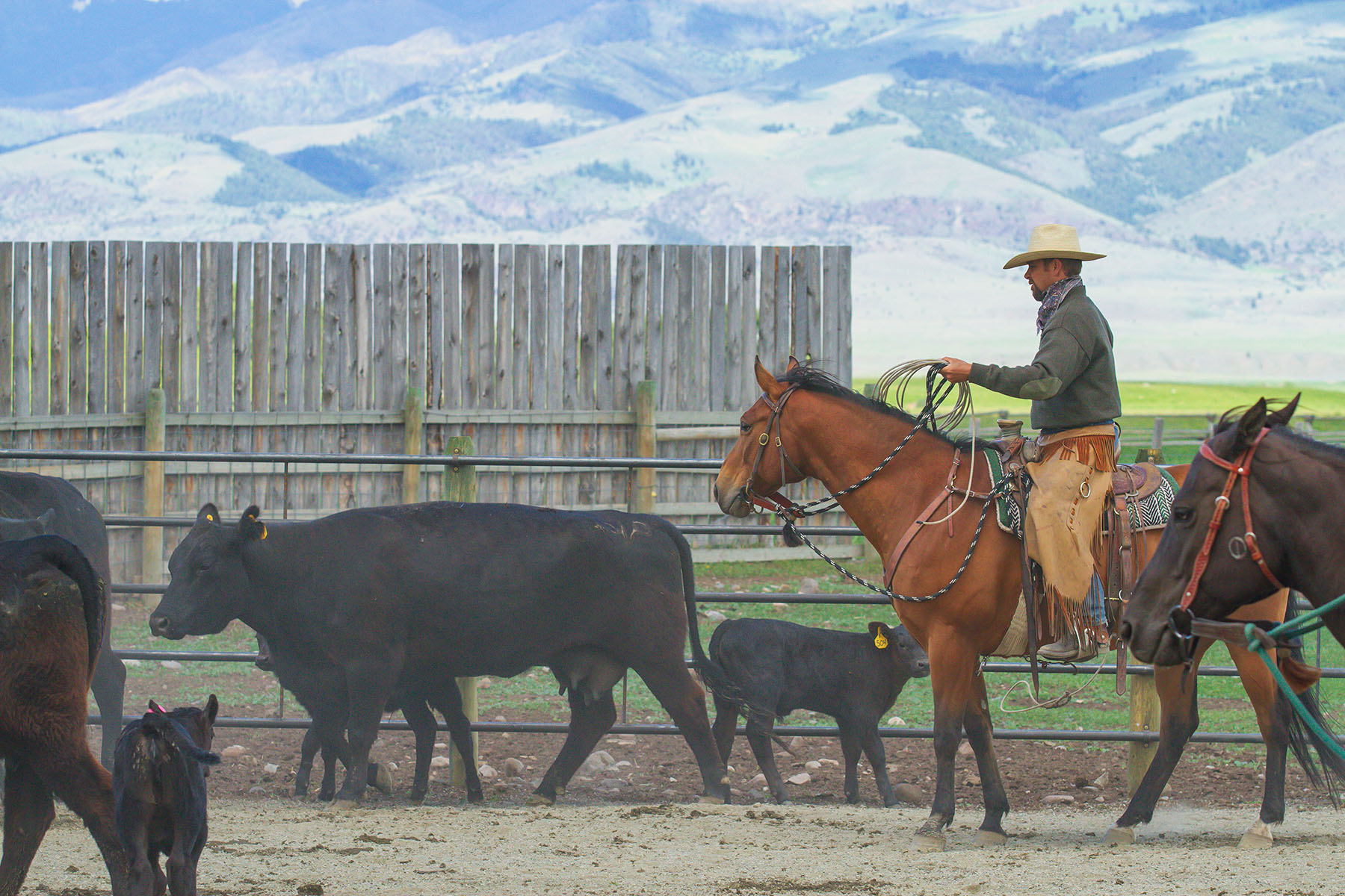 Sitka Ranch property picture 79 of 100