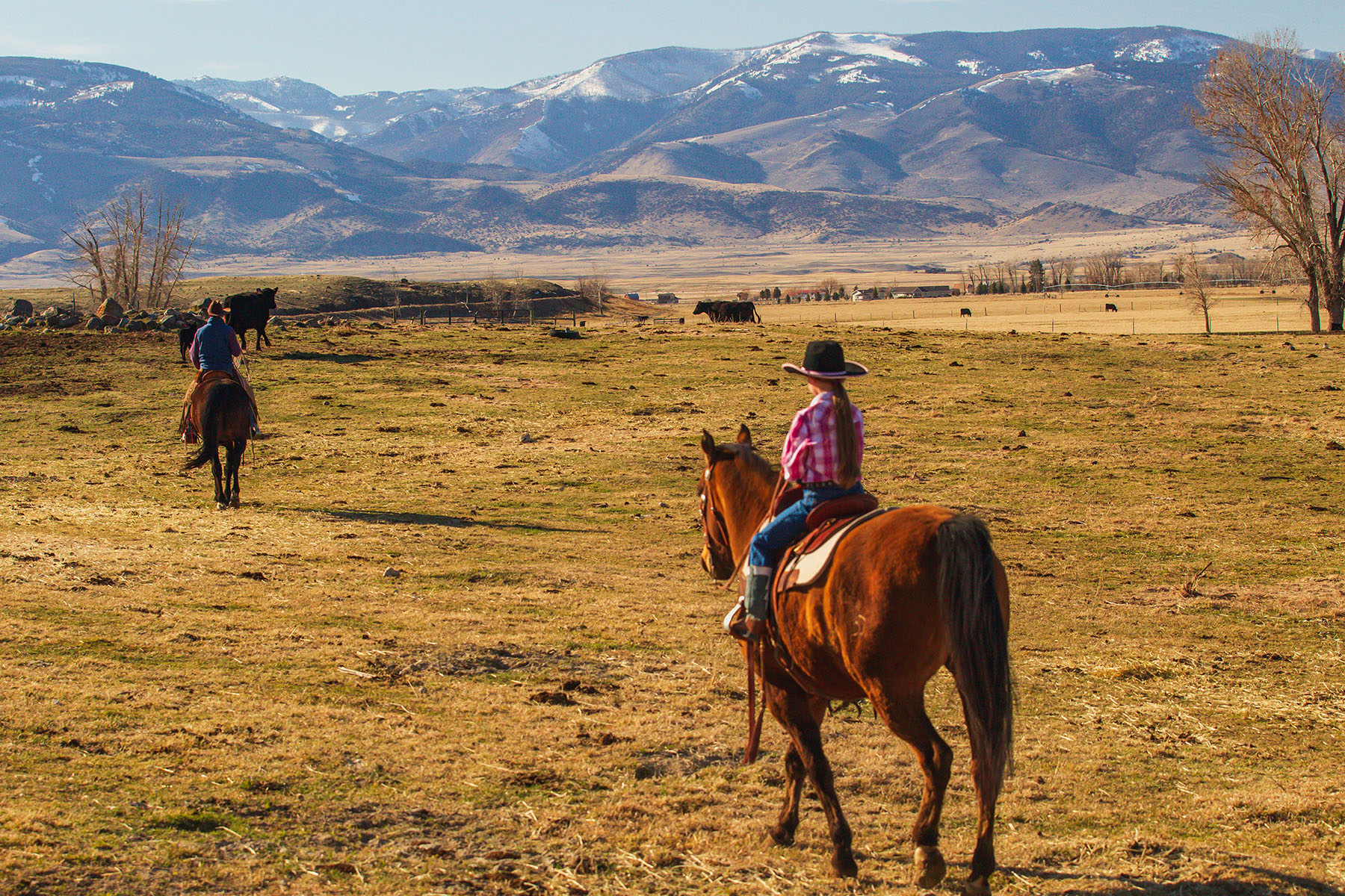 Sitka Ranch property picture 81 of 100