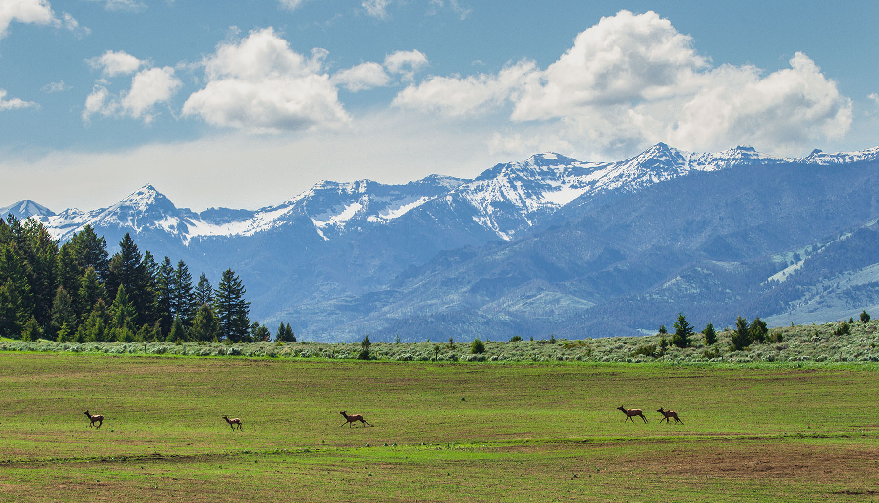 Sitka Ranch property picture 15 of 100