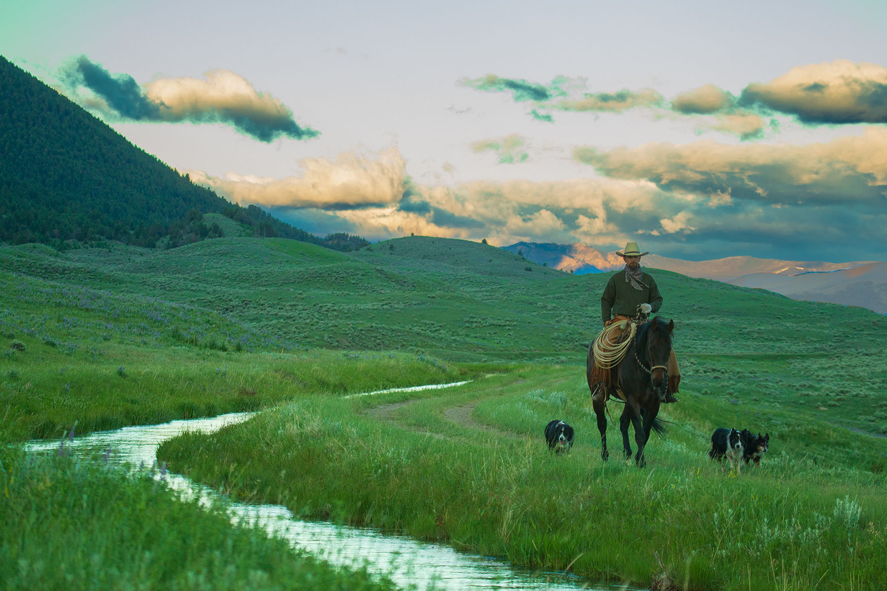 Sitka Ranch property picture 62 of 100