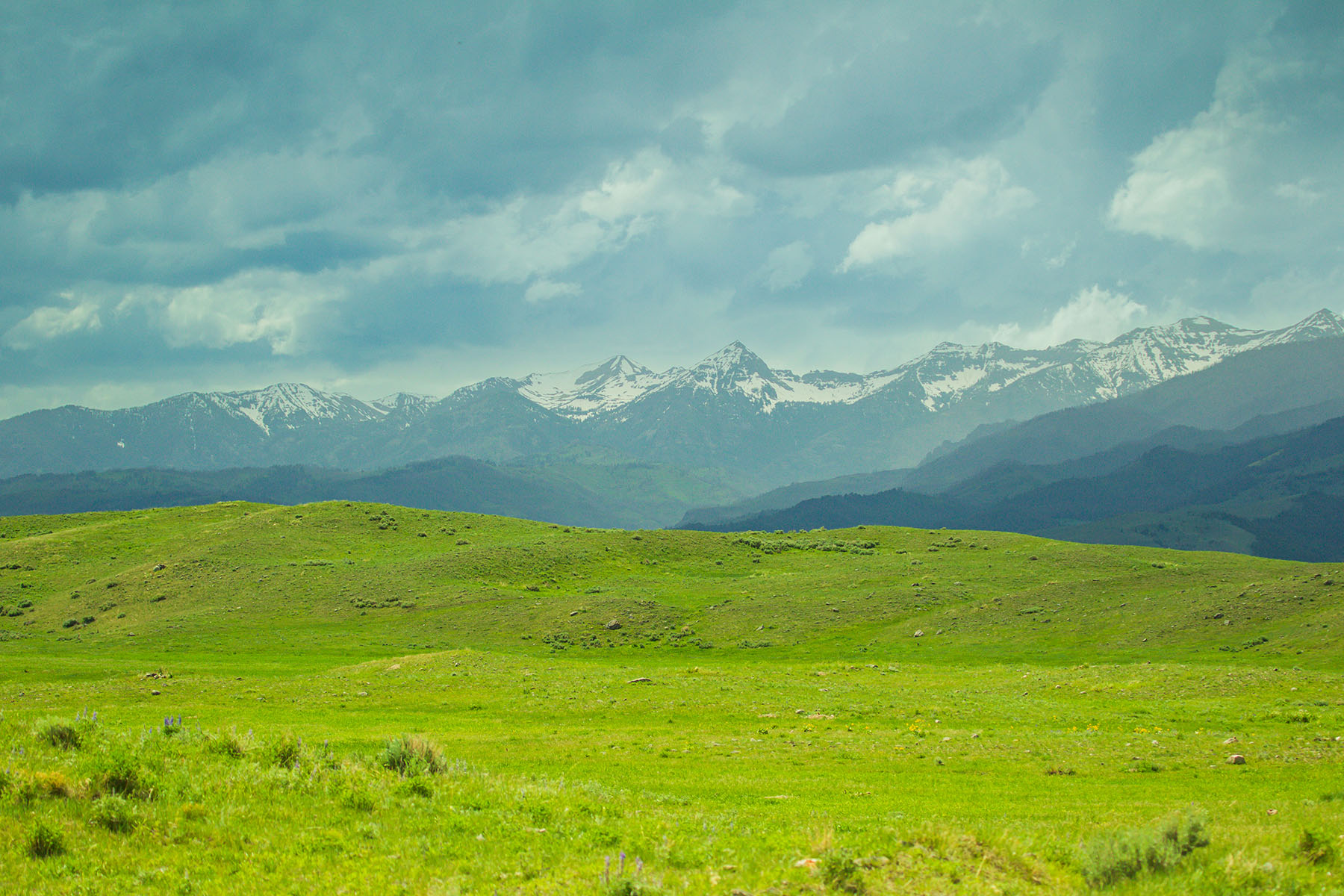 Sitka Ranch property picture 93 of 100