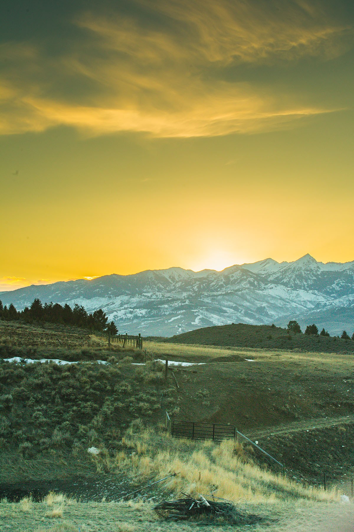 Sitka Ranch property picture 70 of 100