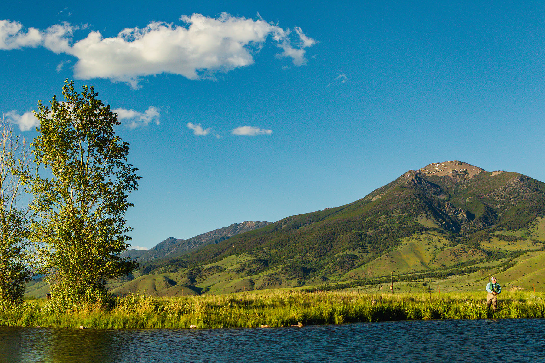 Sitka Ranch property picture 8 of 100