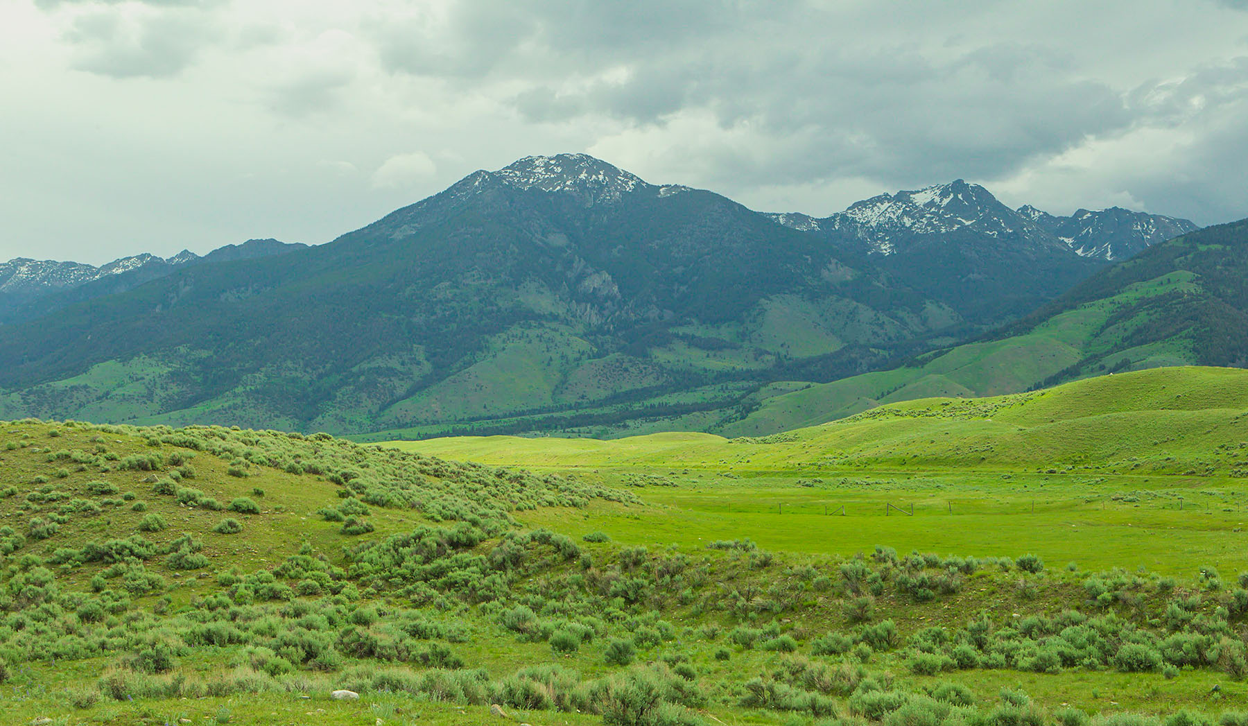 Sitka Ranch property picture 71 of 100