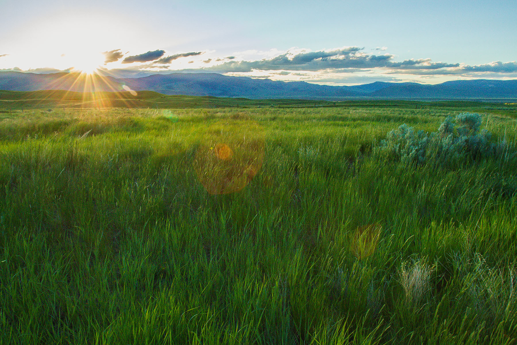 Sitka Ranch property picture 12 of 100