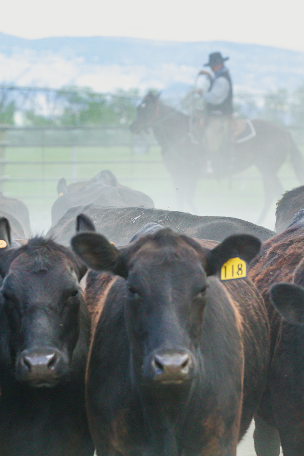 Sitka Ranch property picture 19 of 100