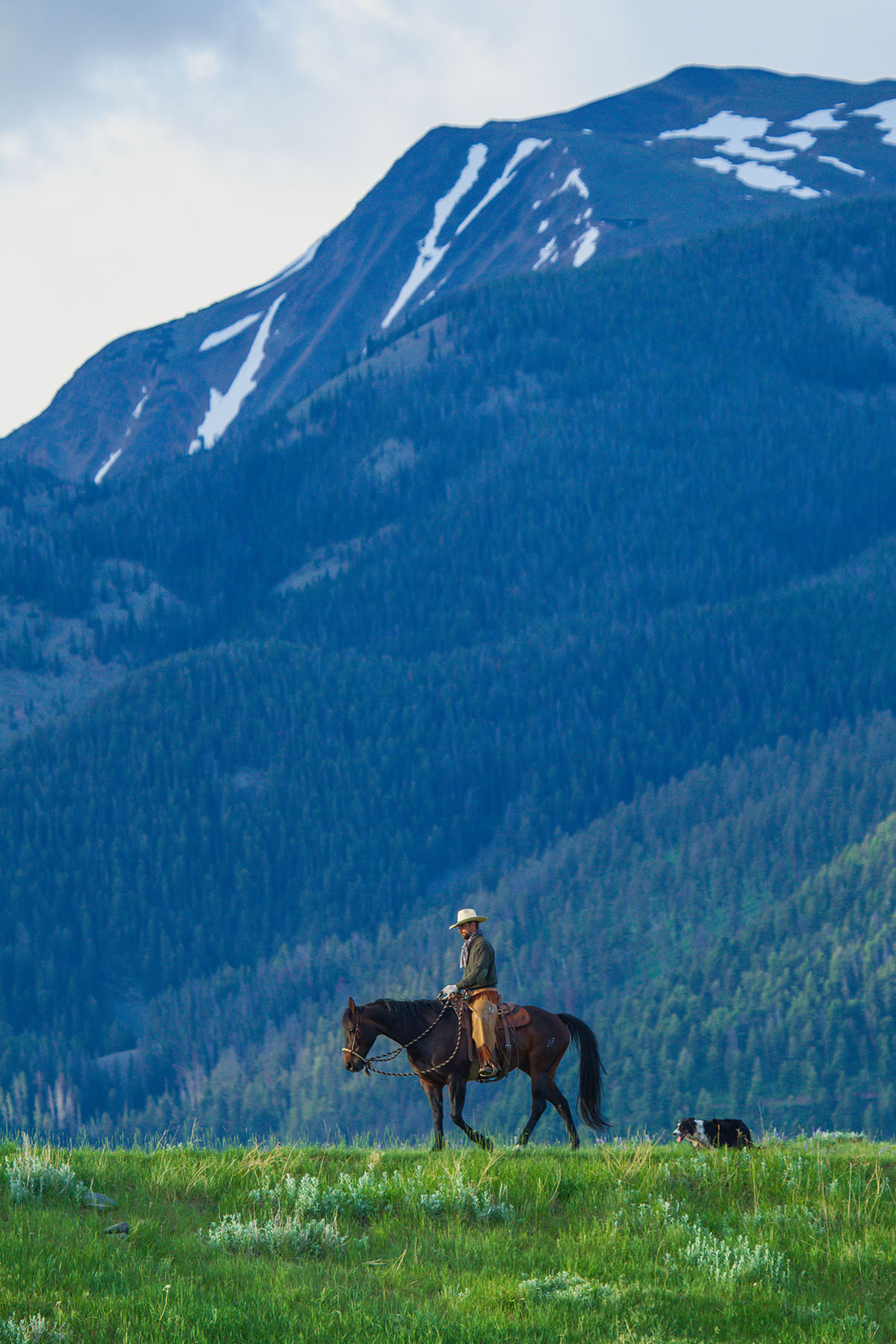 Sitka Ranch property picture 61 of 100