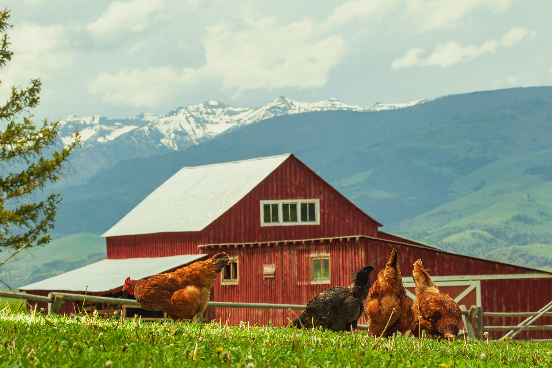 Sitka Ranch property picture 58 of 100