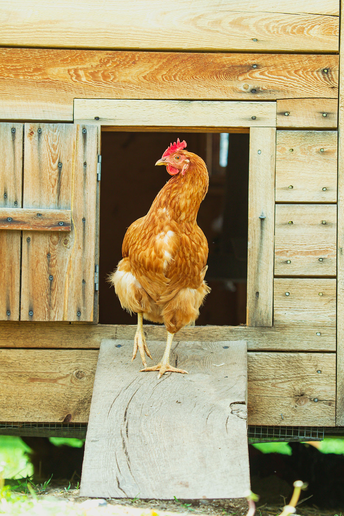 Sitka Ranch property picture 59 of 100