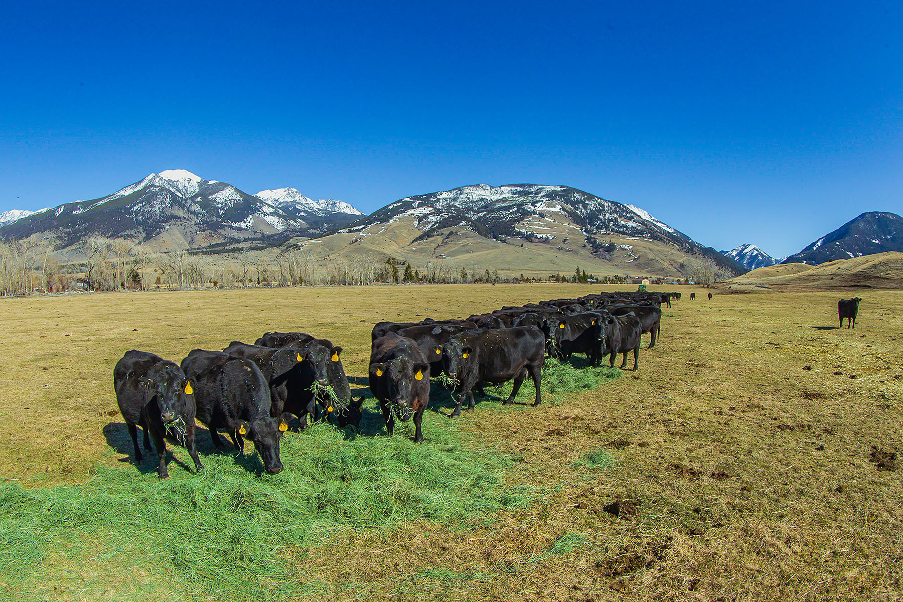 Sitka Ranch property picture 77 of 100